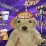 Quake's profile picture
