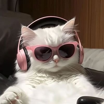 vwx_zz's profile picture