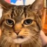 Profilbild von ちっ