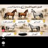 ابو زيد 的头像