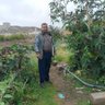 ابوكارم الحاج's profile picture