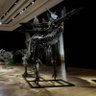 Фото профиля crypto巴黎