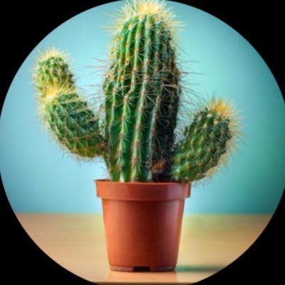 ho_sabo's profile picture