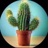 Фото профиля 🌵