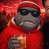 Wels Siezenheim's profile picture