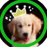 ãã³ãªãŒãð's profile picture