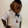 Profilbild von Orinigaga