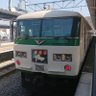カツオトレイン 的头像