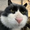 404NotFound's profile picture