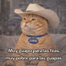 juanstark23's profile picture