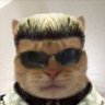 Profilbild von 노누키사마
