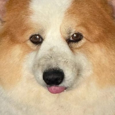 nongjaireal's profile picture