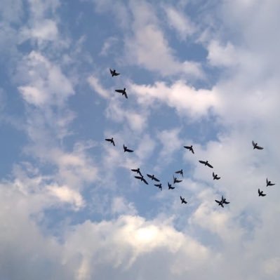 awan⛅️'s profile picture
