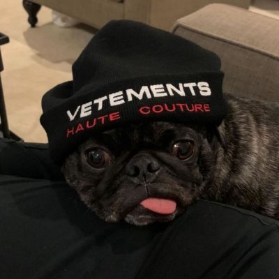 lotaxhahah's profile picture