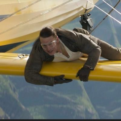 _Active_cruise's profile picture