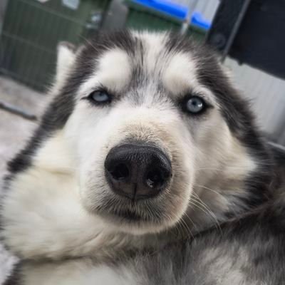 dante 🇵🇸 ☁️☀️'s profile picture