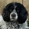 Papami's profile picture
