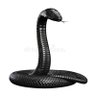standing_cobra 的头像