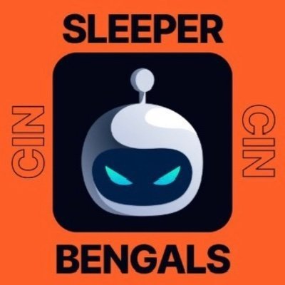 SleeperBengals's profile picture