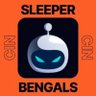 SleeperBengals's profile picture