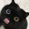 MegaPihar666's profile picture
