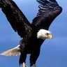 kupa beyi's profile picture