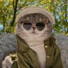 Profilbild von A++