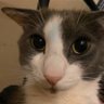 DameWx profil fotoğrafı