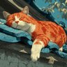 Profilbild von Patience Chava