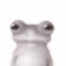 JHON's profile picture