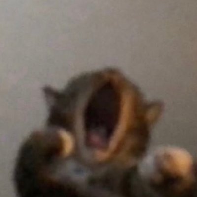hubba_bubbaxyz's profile picture