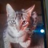 zuh's profile picture