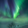 Enryu Borealis profil fotoğrafı
