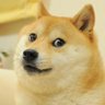 foxyrox's profile picture