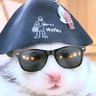 Profilbild von tossy