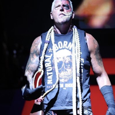 Dustin Rhodes's profile picture