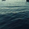 ✦ profil fotoğrafı