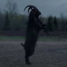 BlackPhillip profil fotoğrafı