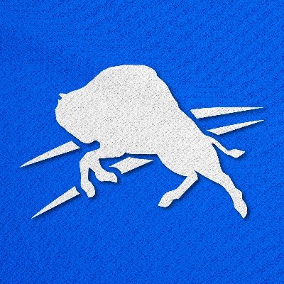 Boomtown Hoops's profile picture