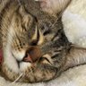 ✨Ash✨ profil fotoğrafı