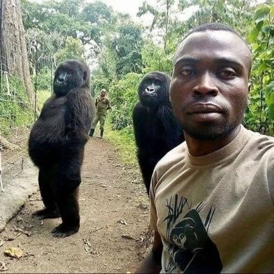 shamokiy's profile picture