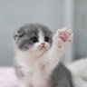 Фото профиля まるここ