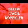 ALI BEY KEMAL profil fotoğrafı
