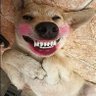 Profilbild von binziro