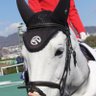 Фото профиля カメケイバ　競馬予想