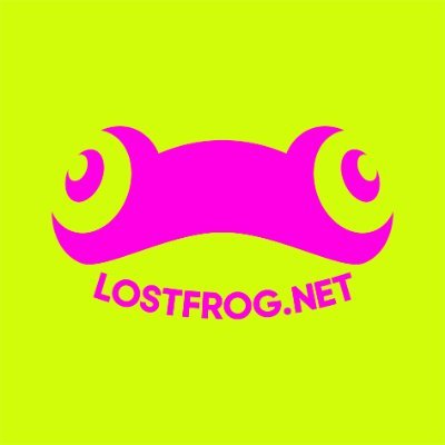 lostfrognet's profile picture