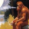 Wasatch Sasquatch profil fotoğrafı