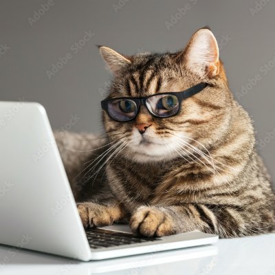 Sun's profile picture