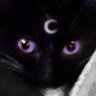 Madame Satã's profile picture