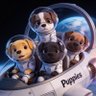 Фото профиля Puppies to the Moon
